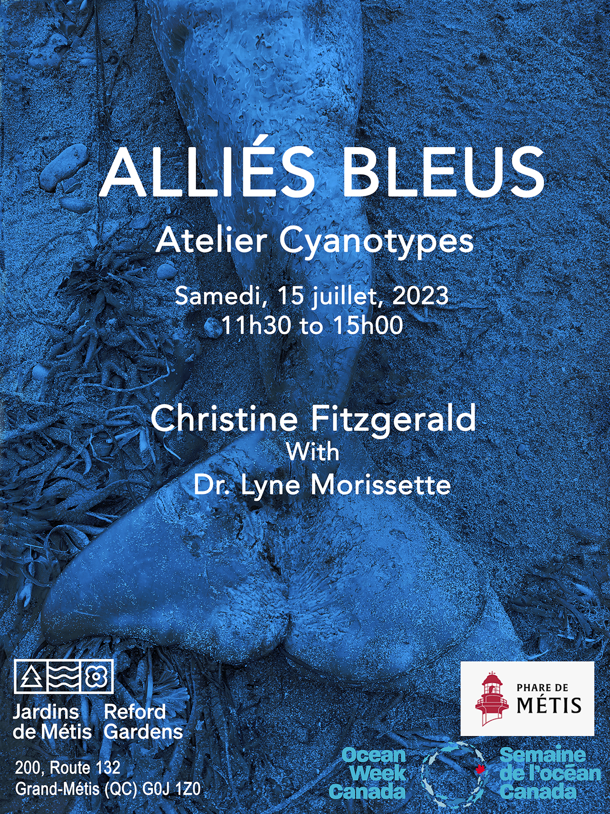 ALLIÉS BLEUS | Cyanotypes - Christine Fitzgerald avec Lyne Morissette