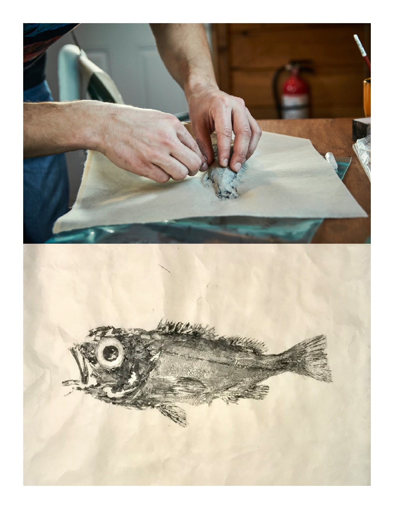 Atelier de gyotaku avec Alexis Aubin-Laperrière