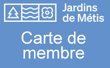 Carte de membre #6